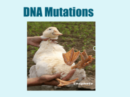 Mutation - Teacherpage
