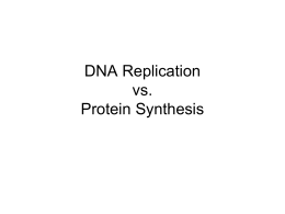 DNA Replication vs protein synthesis and transcription vs translation