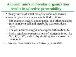 A membrane`s molecular organization results in selective permeability