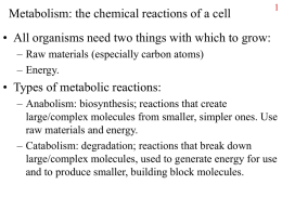 Metabolism: the chemical reactions of a cell