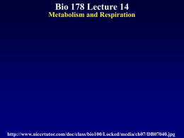Biol 178 Lecture 14