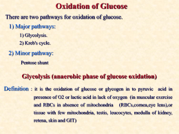 Oxidation of Glucose