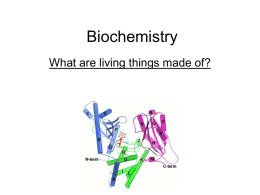 Biochemistry Notes 2012