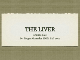 THE LIVER and it`s pals Dr. Megan Gonzales SIOM Fall 2012