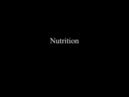 Nutrition Principles