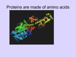 4.1_Proteins_Amino_Acids_2011