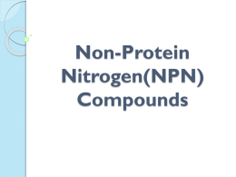 Non-protein Nitrogen Compounds