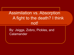 Assimilation vs Absorption