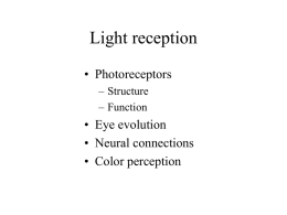 Light reception