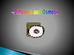 Diffusion and Osmosis Power Point
