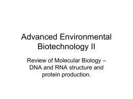 6 Review of Molecular Biology