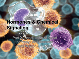 Hormones & Chemical Messengers