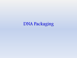 DNA Packaging
