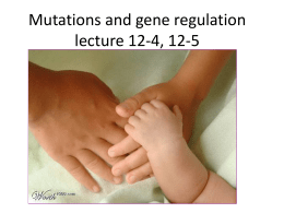 Mutations and gene regulation