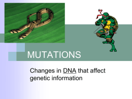 GENE MUTATIONS