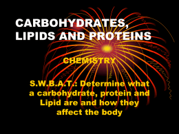 carbohydrates, lipids and proteins