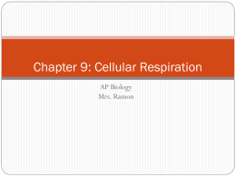 AP Biology Summer Session Lecture 6