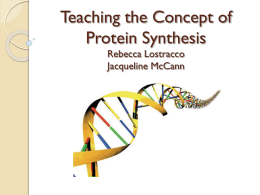 Teaching the Concept of Protein Synthesis Rebecca
