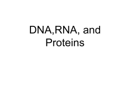 dnarna-and-proteins