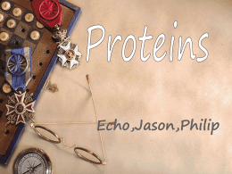 proteins——Echo,Jason,Philip