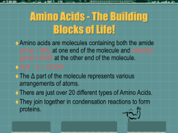 Amino Acids - Clydebank High School