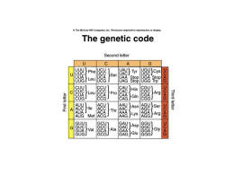 Features of the genetic code