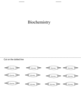 Biochemistry Flip Book