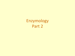 Enzymology Part 2