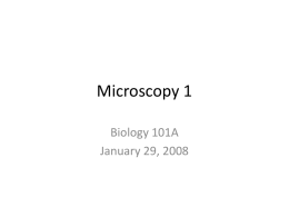 Microscopy 1