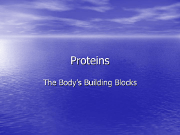 Proteinsonly - CulinaryNutrition