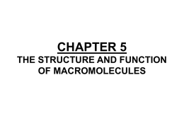 chapter 5 the structure and function of macromolecules