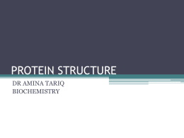 protein structure - MBBS Students Club