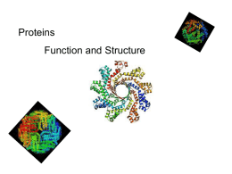 Proteins : Structure & Function