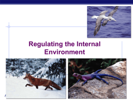 Regulating the Internal Environment