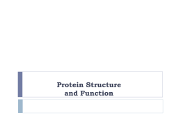 Protein Structure & Function - Lectures For UG-5