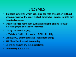 enzymes - MBBS Students Club