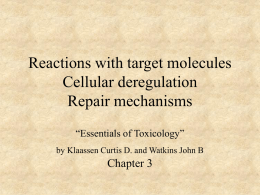 Reactions with target molecules Cellular deregulation Repair
