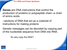 12–3 RNA and Protein Synthesis