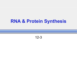 RNA - Southgate Schools