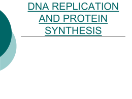 DNA Replication and Protein_Synthesis