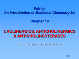 Patrick chapter 19 part 1