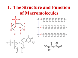 I. The Structure and Function of Macromolecules