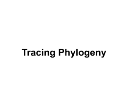Tracing Phylogeny - Ursuline High School