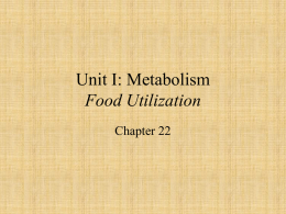 Food Utilization