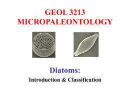 321-12-taxa-Diatoms2005
