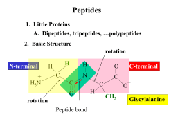 LECT06 peptides