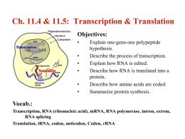 Ch. 11.4 & 11.5: Transcription & Translation Objectives