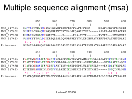 Heuristic pairwise sequence alignment
