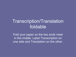Transcription/Translation foldable