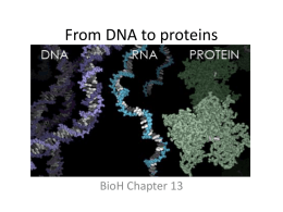 BioH From DNA to proteins